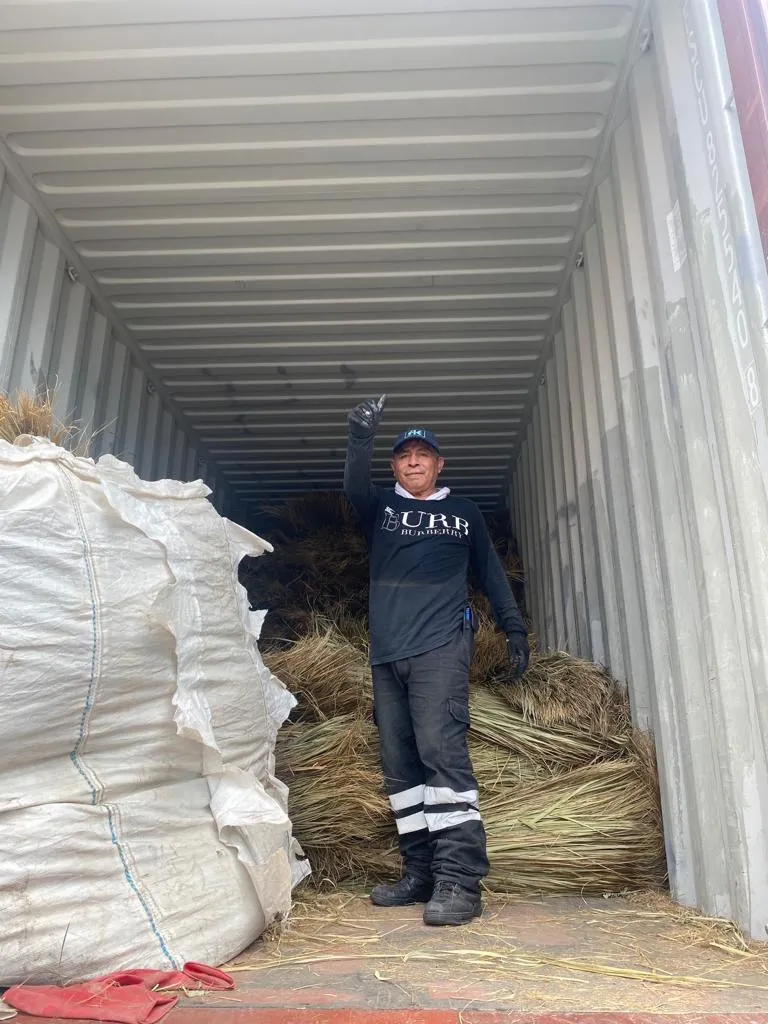 Trabajador dentro de un contenedor con fibras naturales embaladas